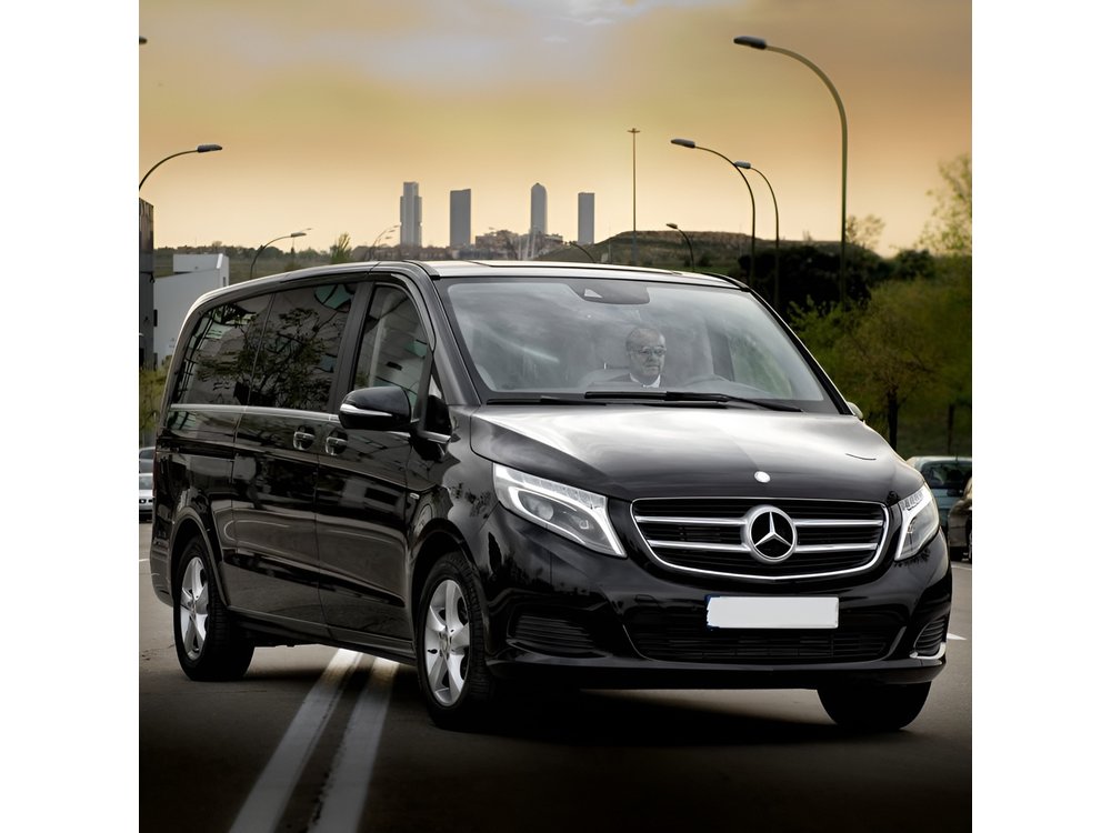 CO2-Offset|Cardiff by yourself with private driver 4/8hr disposal
