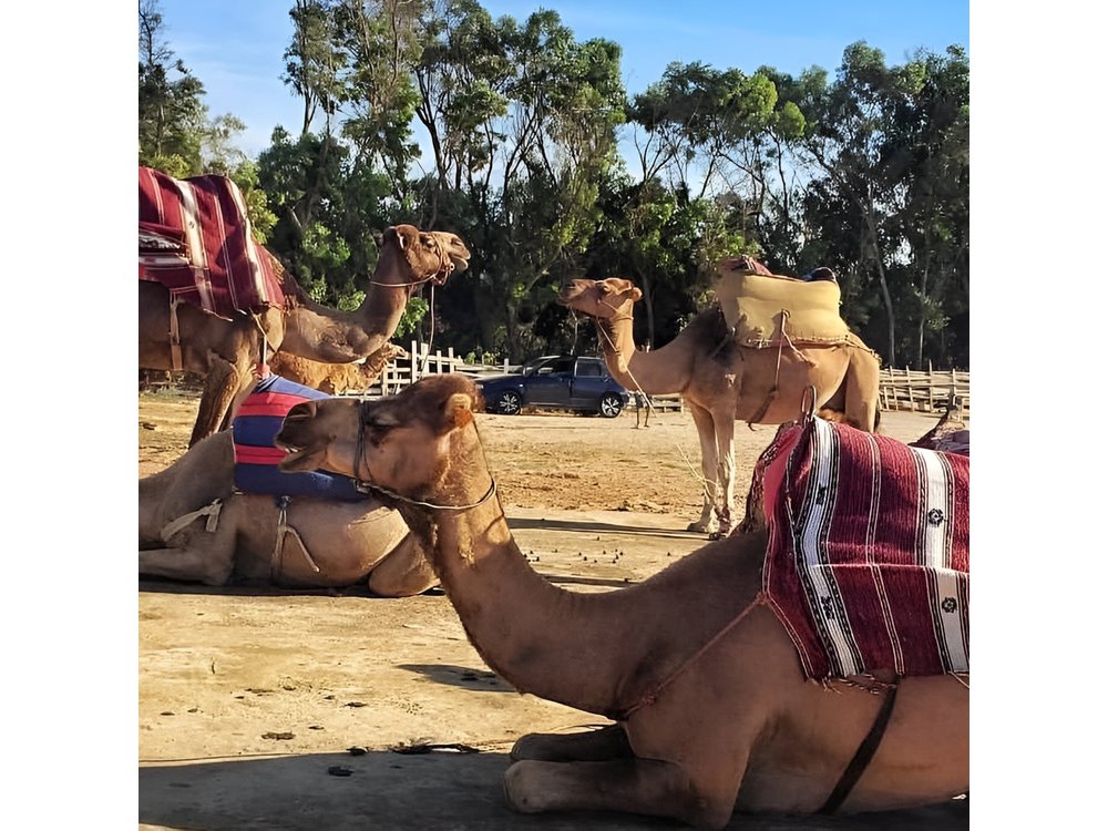 Tangier Private Day Tour