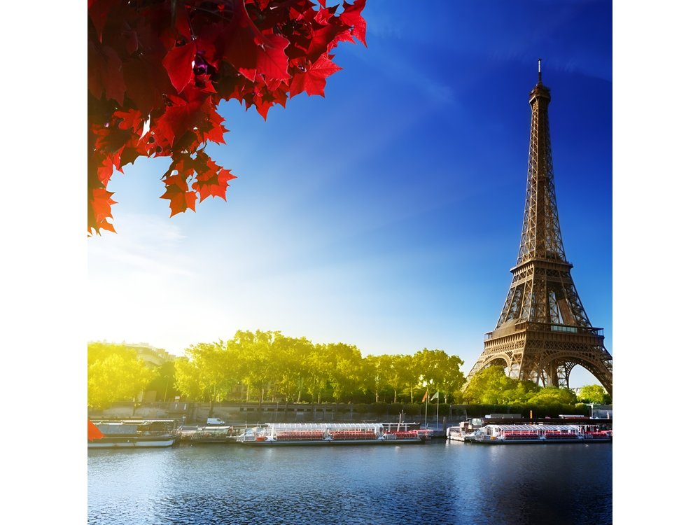 Paris by Rail with Sightseeing Bus and River Cruise