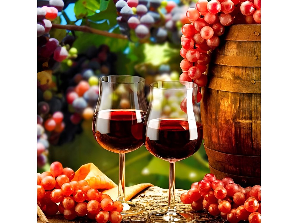 Douro Valley Private Wine Tour From Lisbon