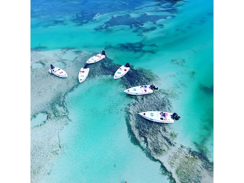 Key West Safari Eco Sandbar Tour Adventure with Snorkeling