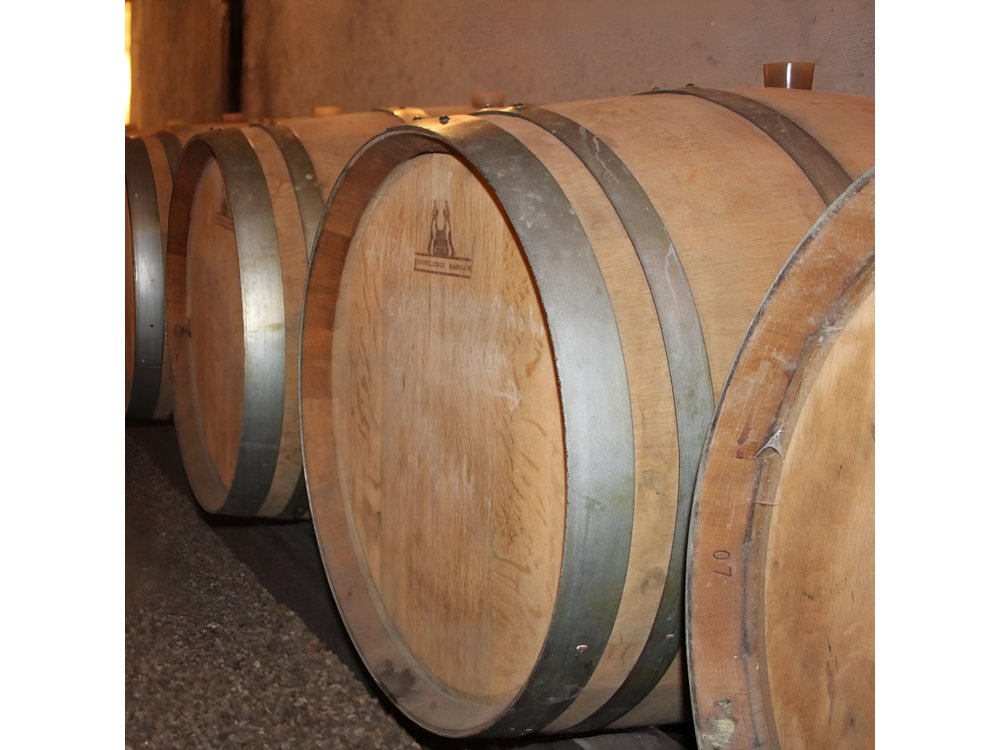 From Angers - Anjou Vineyards in Minivan