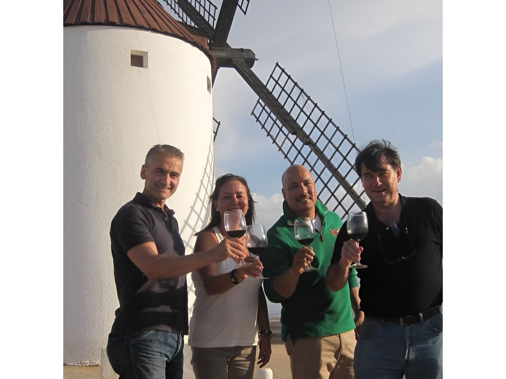 Windmills of Don Quixote Wine Tour & Tasting from Madrid