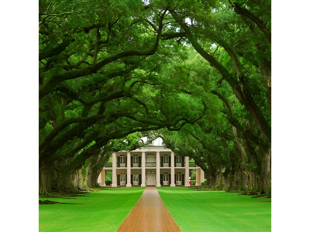 Oak Alley Plantation Half-Day Tour from New Orleans