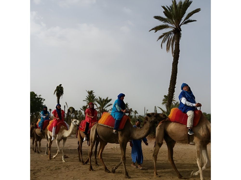 Camel Ride & Quad Bike tours in the palm grove of Marrakech