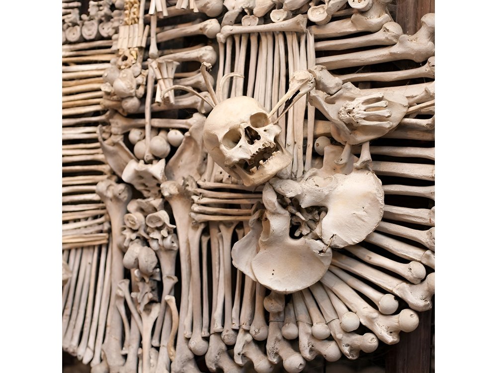 Day Trip to Kutná Hora by train from Prague