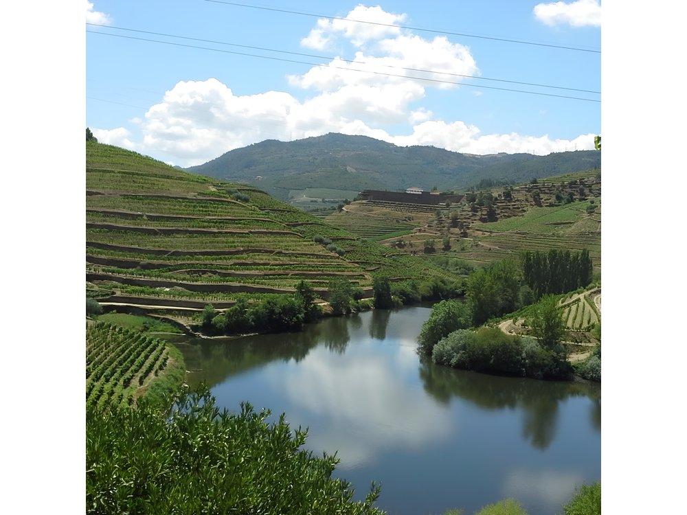 Authentic Douro Valley - small-Group Tour (Max 7)
