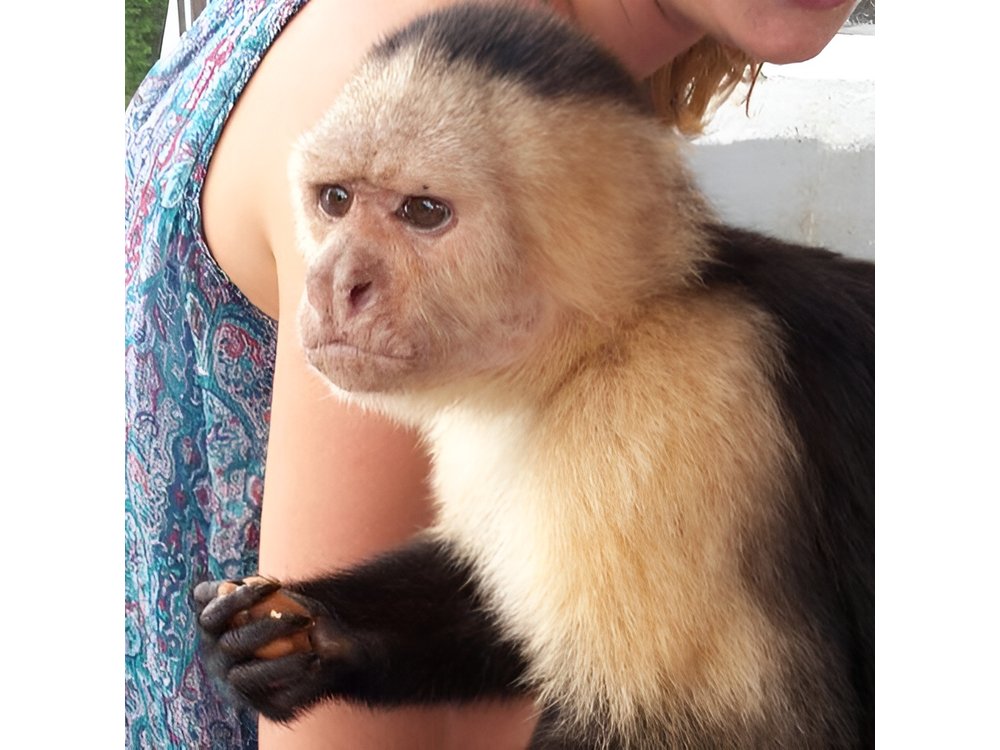 Full-Day Gatun Lake and Indian Village Tour from Panama City