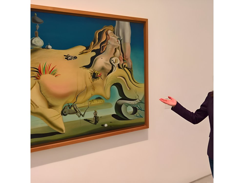 Reina Sofia Museum Private Tour
