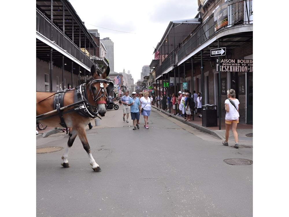 New Orleans French Quarter and More Carriage Ride