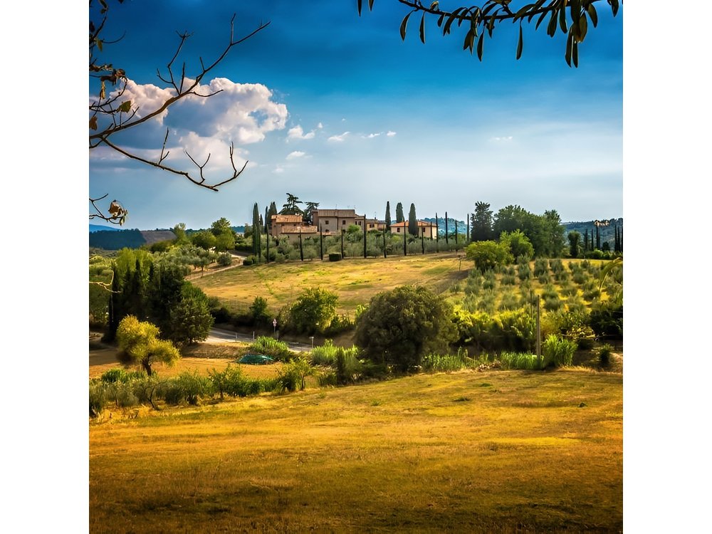 Private Carmignano Tour: The First Cabernet Sauvignon in Tuscany