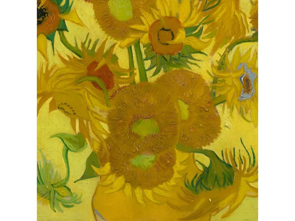 Amsterdam: Van Gogh Museum Entry & 75 minute City Canal Cruise