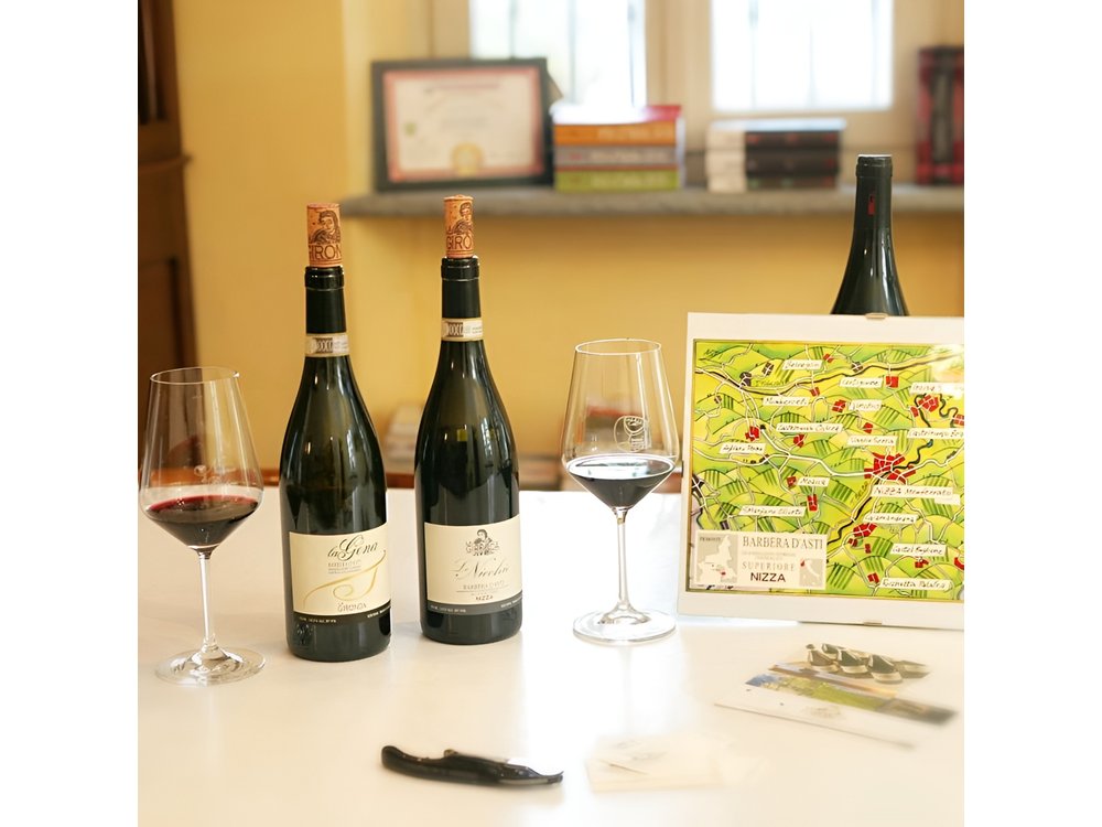 Visit among vineyards and wine cellar with wine tasting in Nizza Monferrato