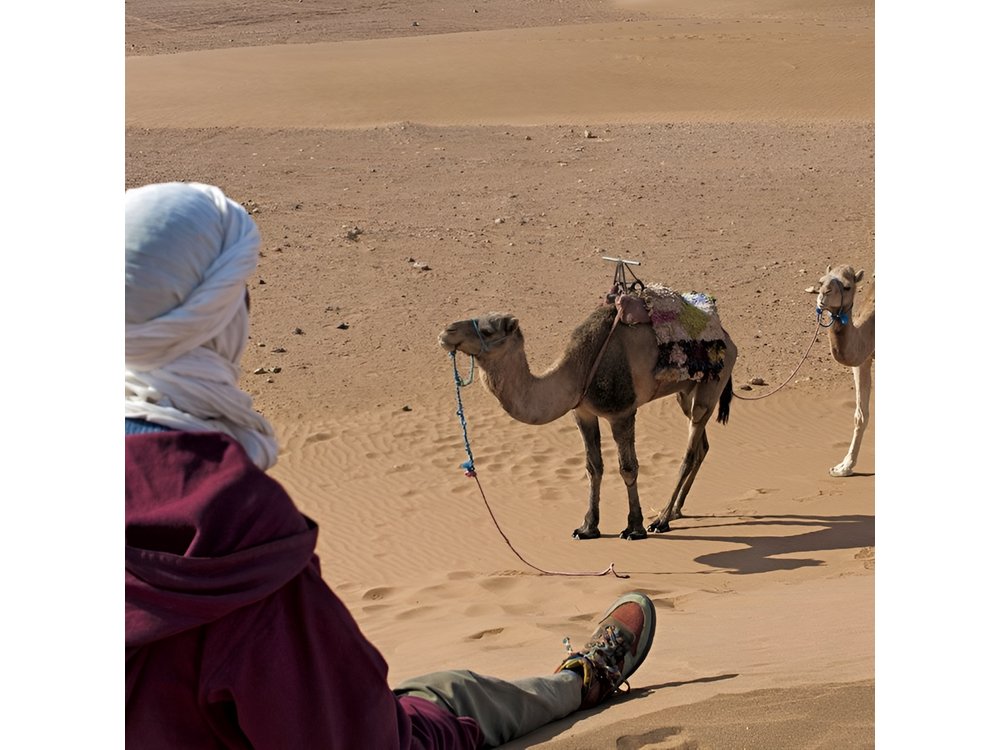 2-Day Zagora Desert Trip from Marrakech