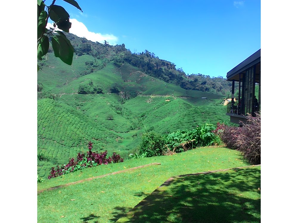 Cameron Highlands 3 Days 2 Night Tours Private (per Vehicle)