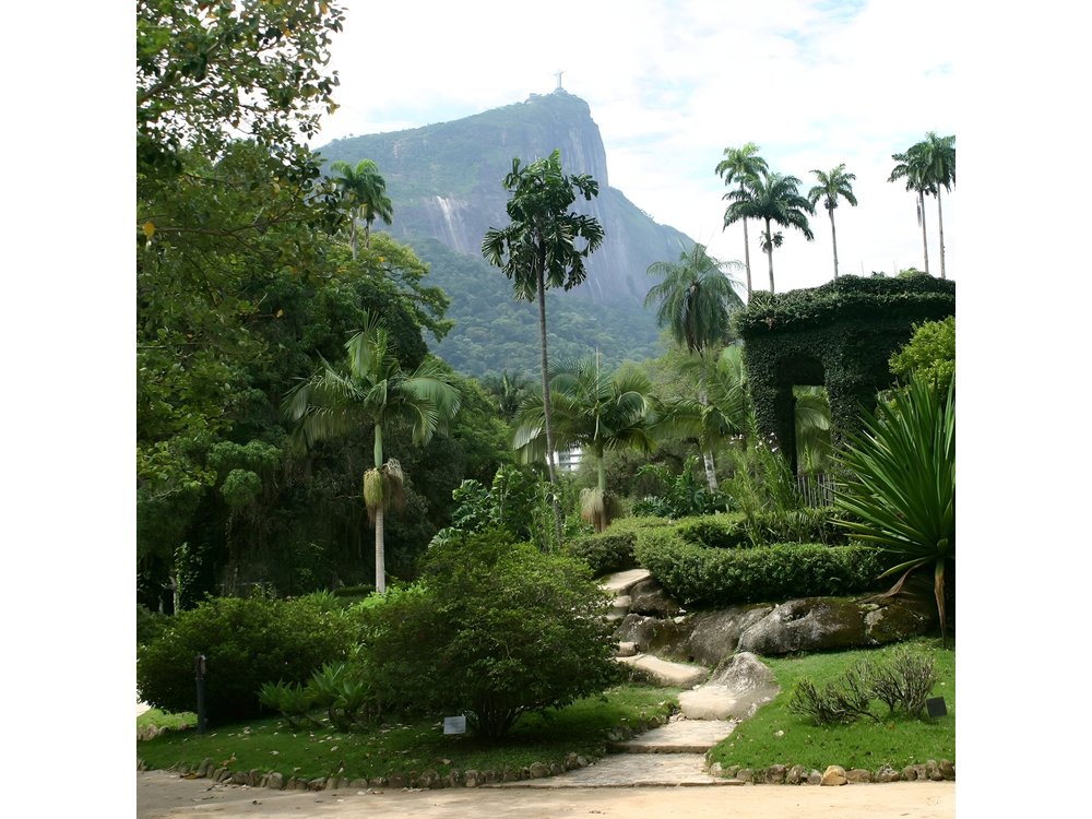 Rio de Janeiro Botanical Garden Tour
