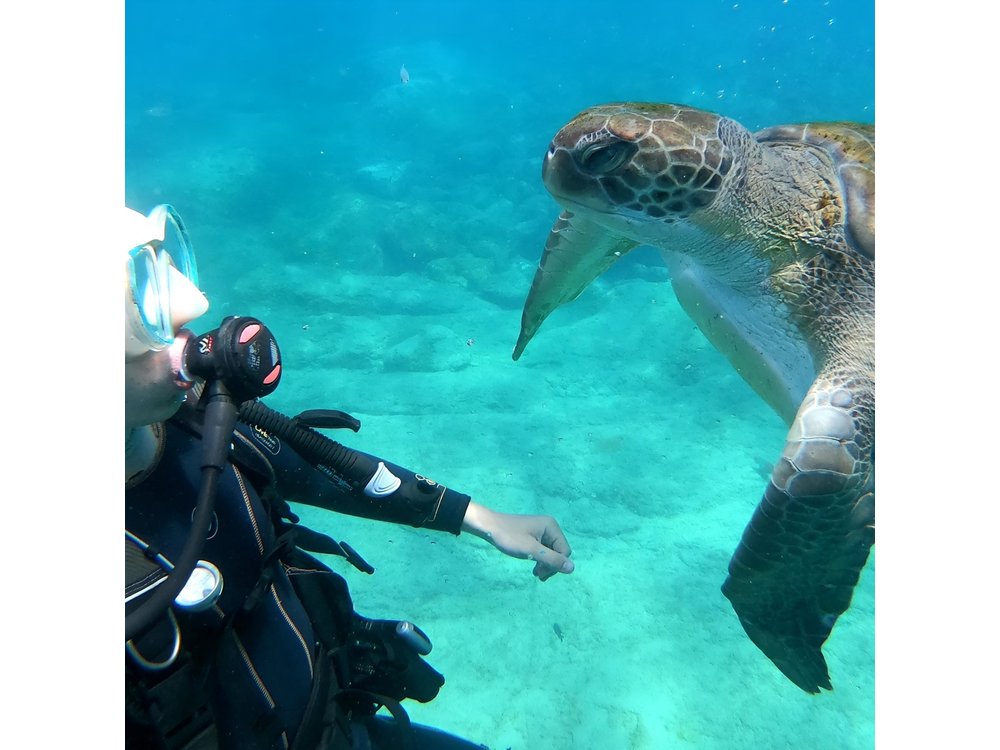 Tenerife: 2-in-1 Scuba Diving with Turtles & Snorkeling 8+