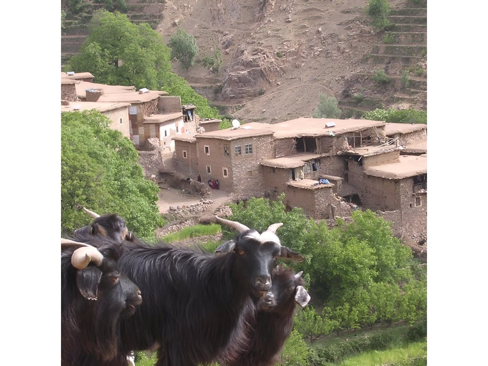 Private Guided Atlas Day Tour from Marrakech with lunch in a Berber family home