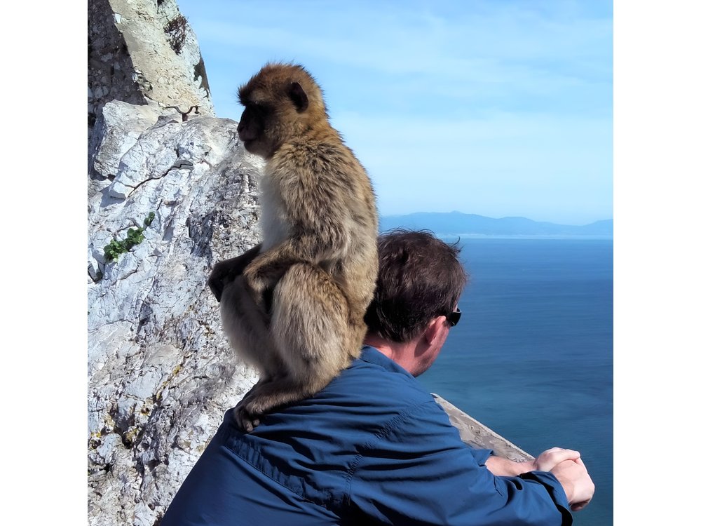Gibraltar private trip from Marbella or Malaga