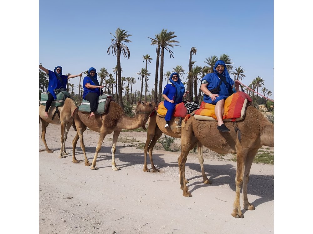 Camel Ride in Marrakech desert palmgrove