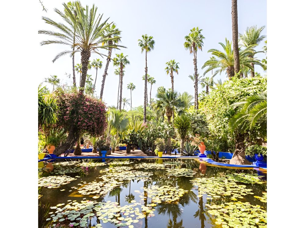 Marrakech Guided Day Trip from Agadir: Medina & Souks Tour