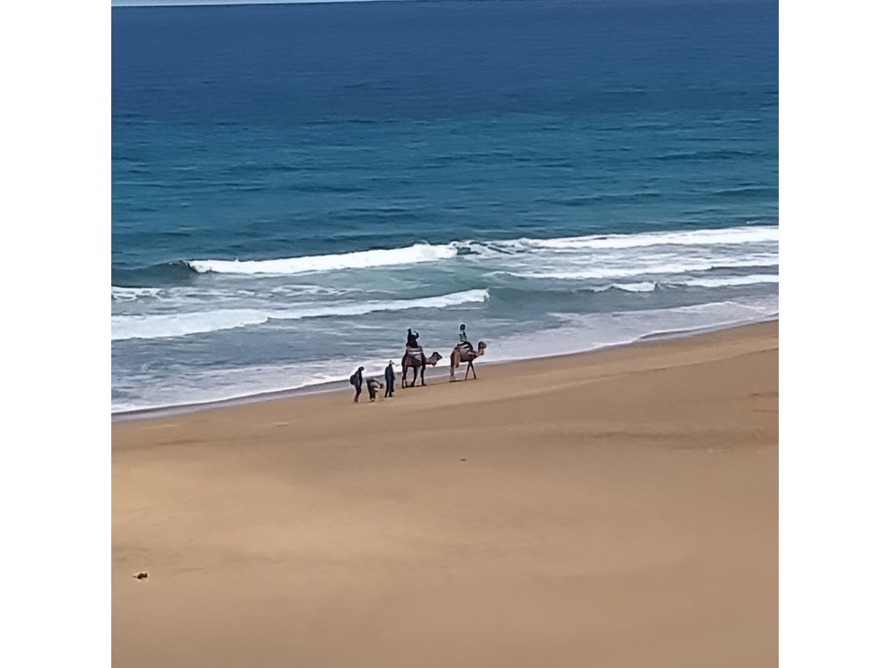 Full Day Excursion To Asilah&Tangier