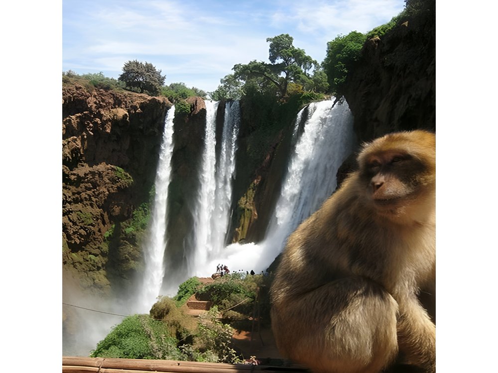 Shared group day trip from Marrakech to Ouzoud waterfalls