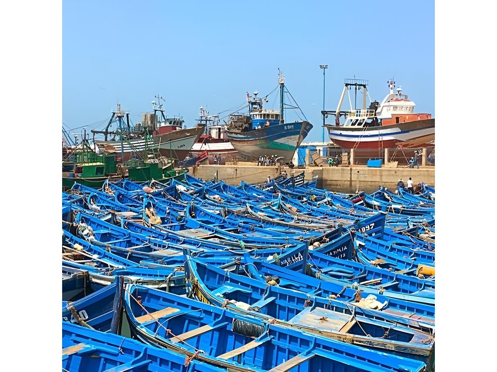 From Marrakech To Essaouira Mogador Full Day Trip | Small-group