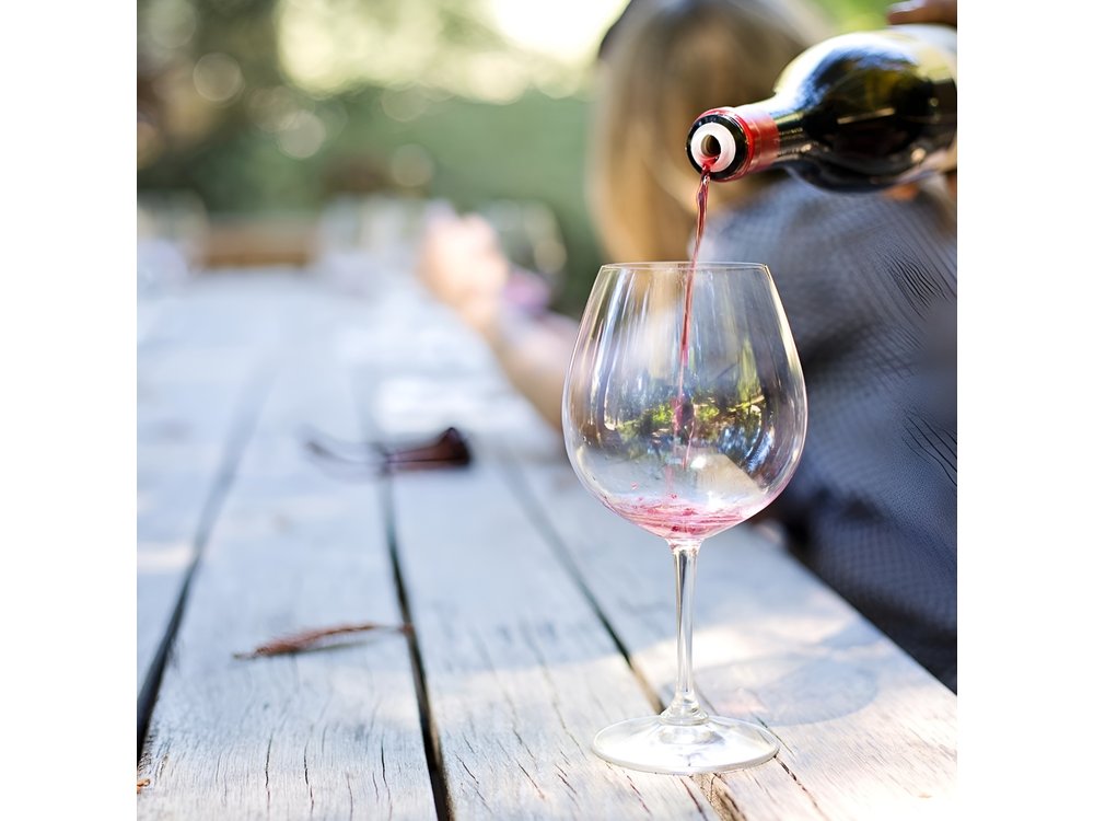 Eger Private Full-Day Wine Tasting Tour and Sightseeing from Budapest