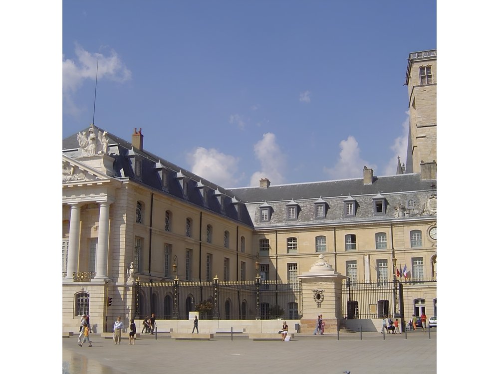 Dijon Signature Walk: Gothic Landmarks & Ducal Grandeur