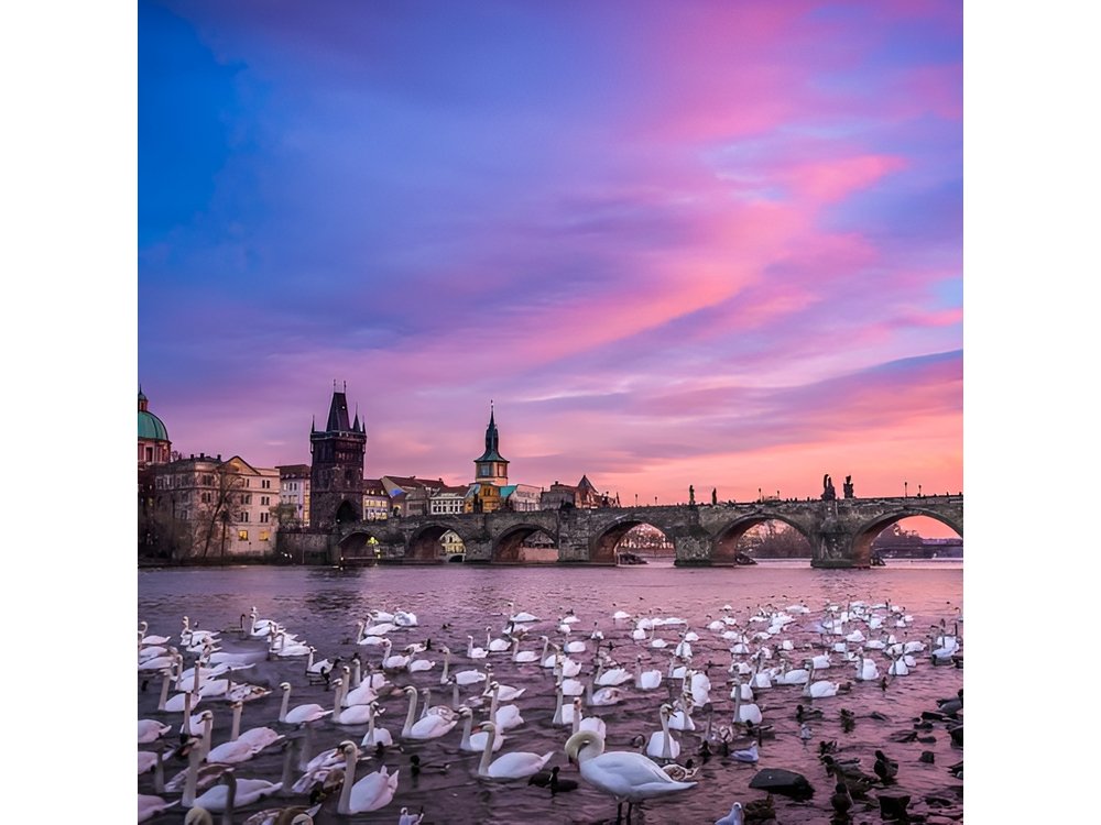 Small-Group Walking Photo Tour of Prague