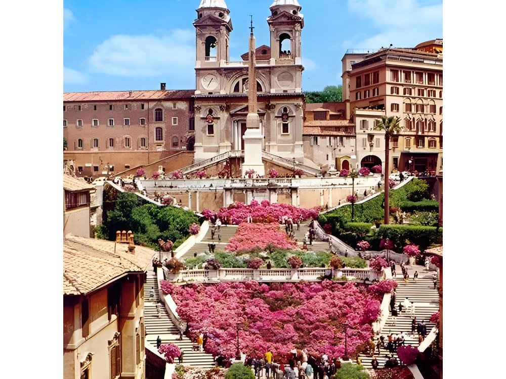 Rome private Guided Tour with driver