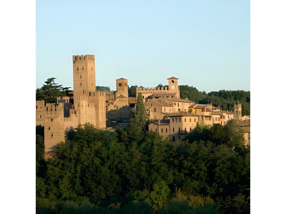 Violin Museum Cremona & Medieval Villages, private tour.