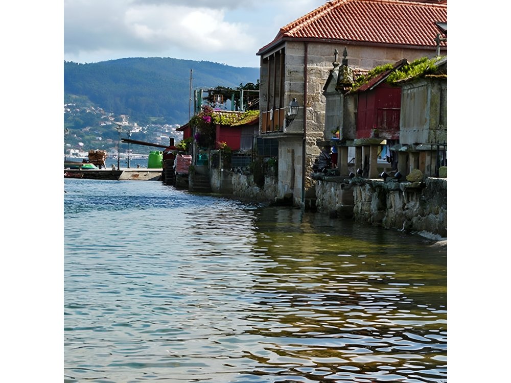 Excursion to Rias Baixas with Winery - Optional mussel boat