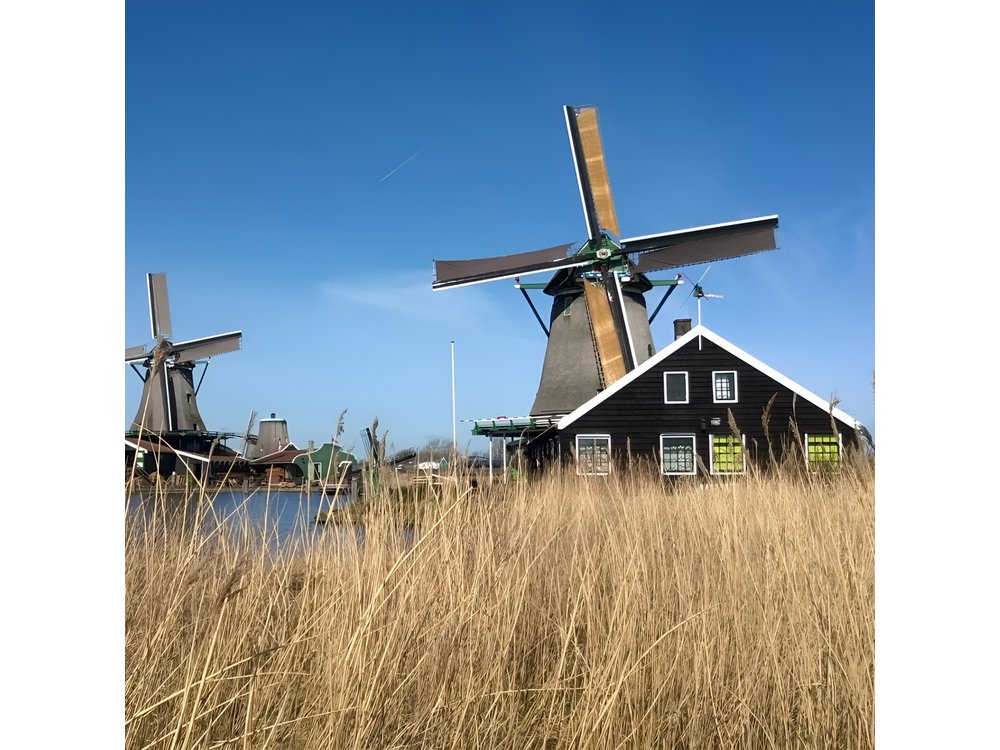 Zaanse Schans and Volendam Private Tour from Amsterdam