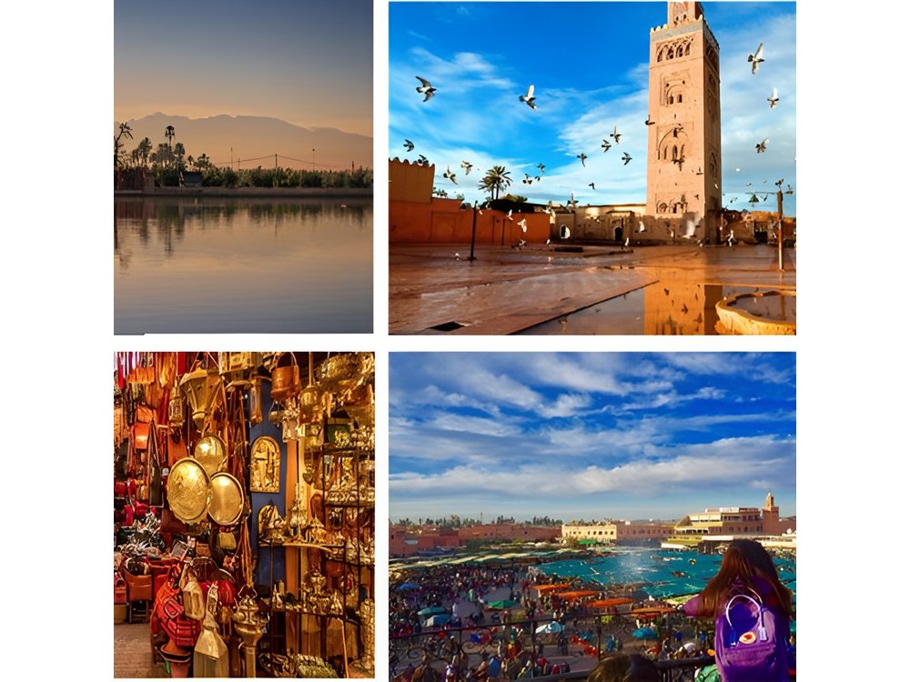 Day Trips from Agadir to Marrakech with Amazing guide