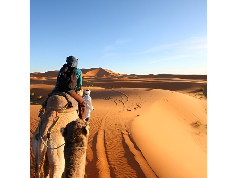 3 Day Desert Tour Marrakech to Fes