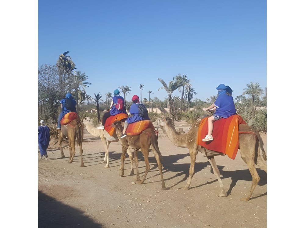 Marrakech Camel Safari at Agafay Desert