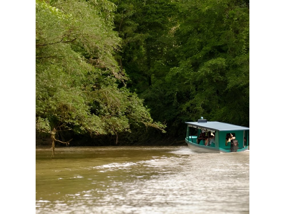 Safari Boat on Sarapiqui River with Lunch from San Jose