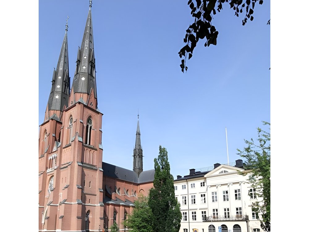 Private Day Tour to Uppsala - Uppsala Cathedral, Viking Burials and countryside
