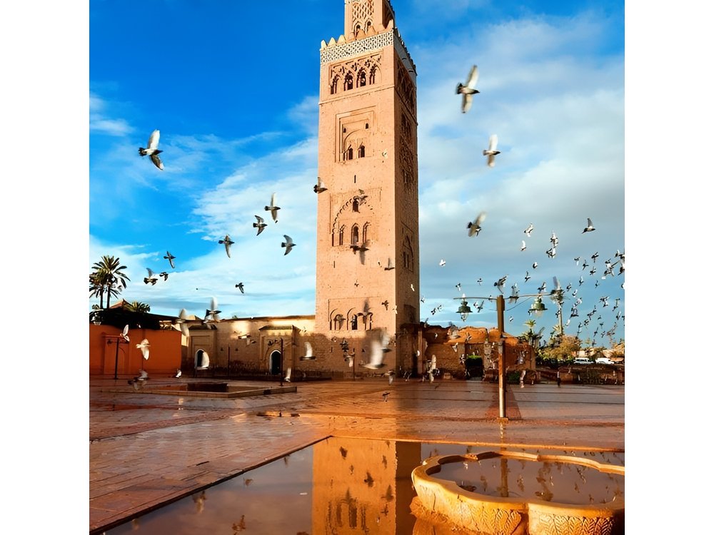 Full day trip to Marrakech from Casablanca