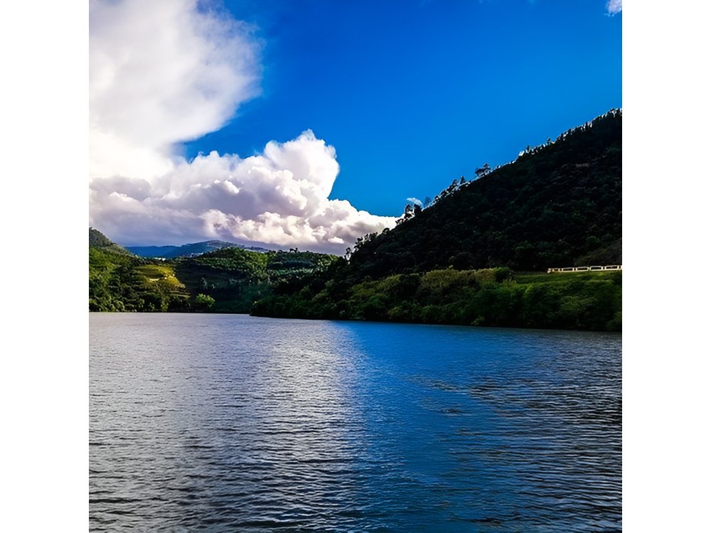 Top Highlights of Douro Valley From Porto Full Day Private Tour