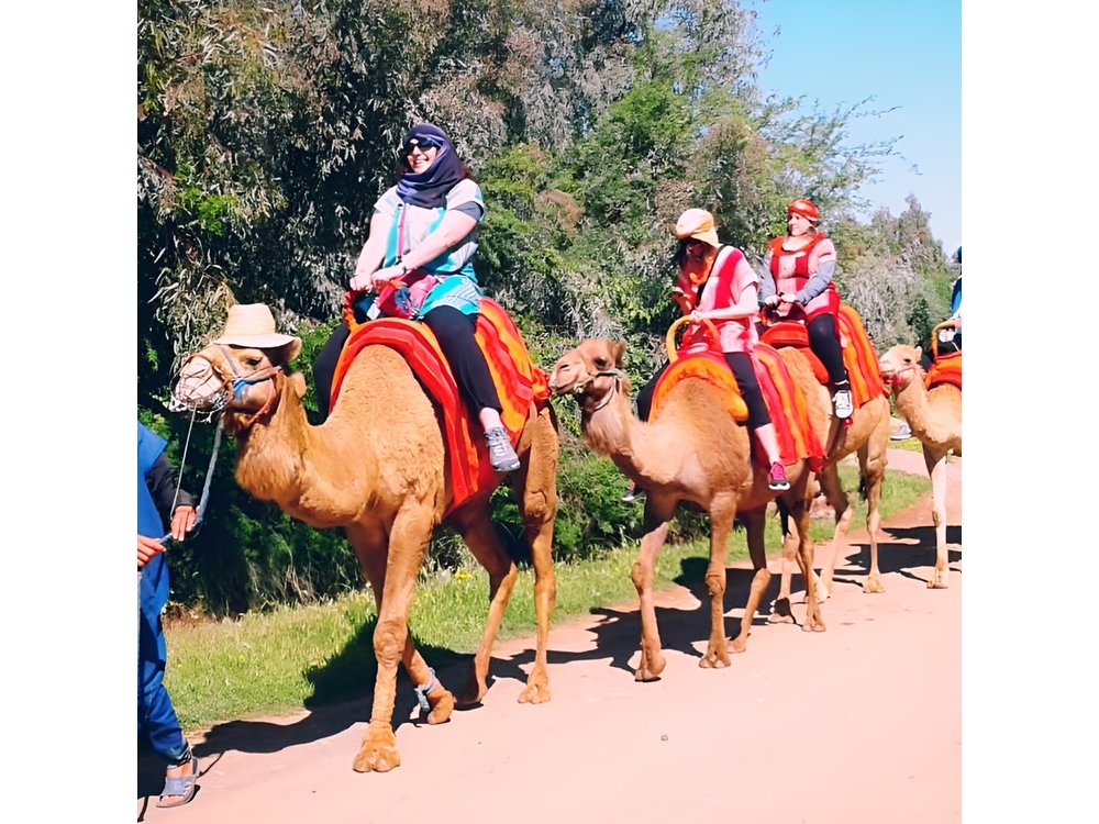 5 Valleys Atlas mountains day trip from Marrakech with camel ride