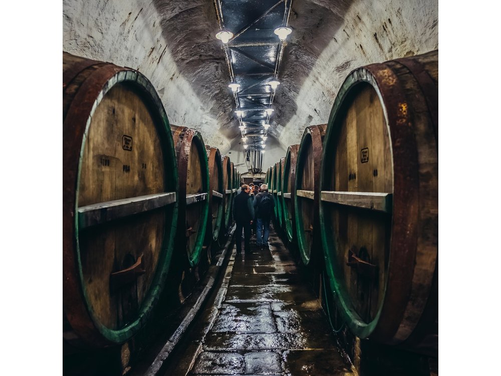 Private Tour to Pilsner Urquell from Prague