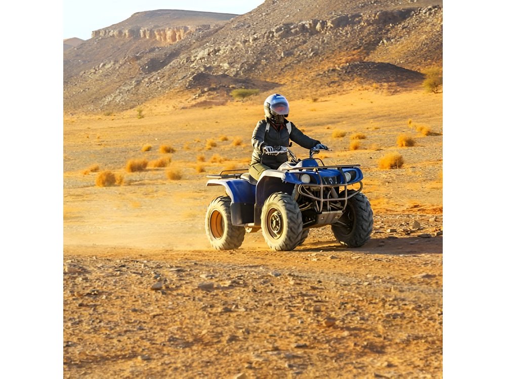 Quad and Camel ride in the palmgrove of Marrakech