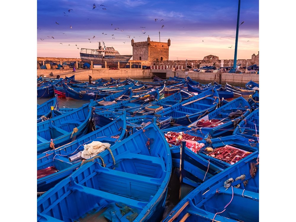 Full Day Trip To Essaouira From Marrakech