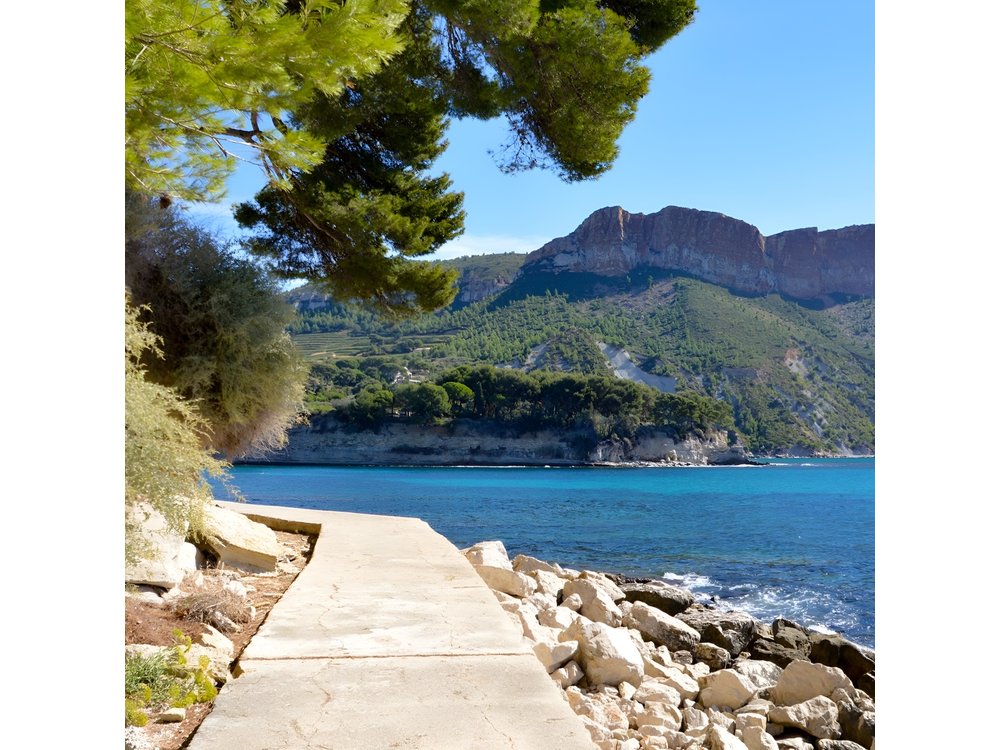 Highlights of Provence : food, wine and seaside in Cassis and Aix