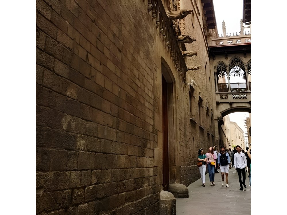Walking tour of the Gothic Quarter of Barcelona + Cathedral