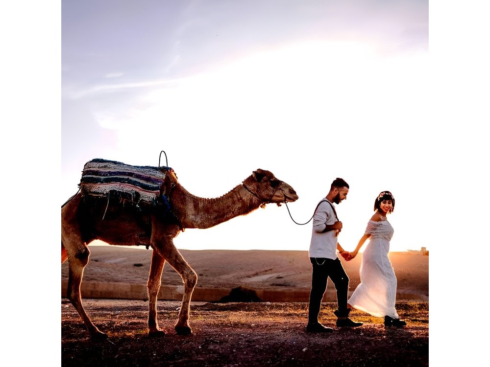 Marrakech: Agafay desert, Magical dinner & sunset and camel ride