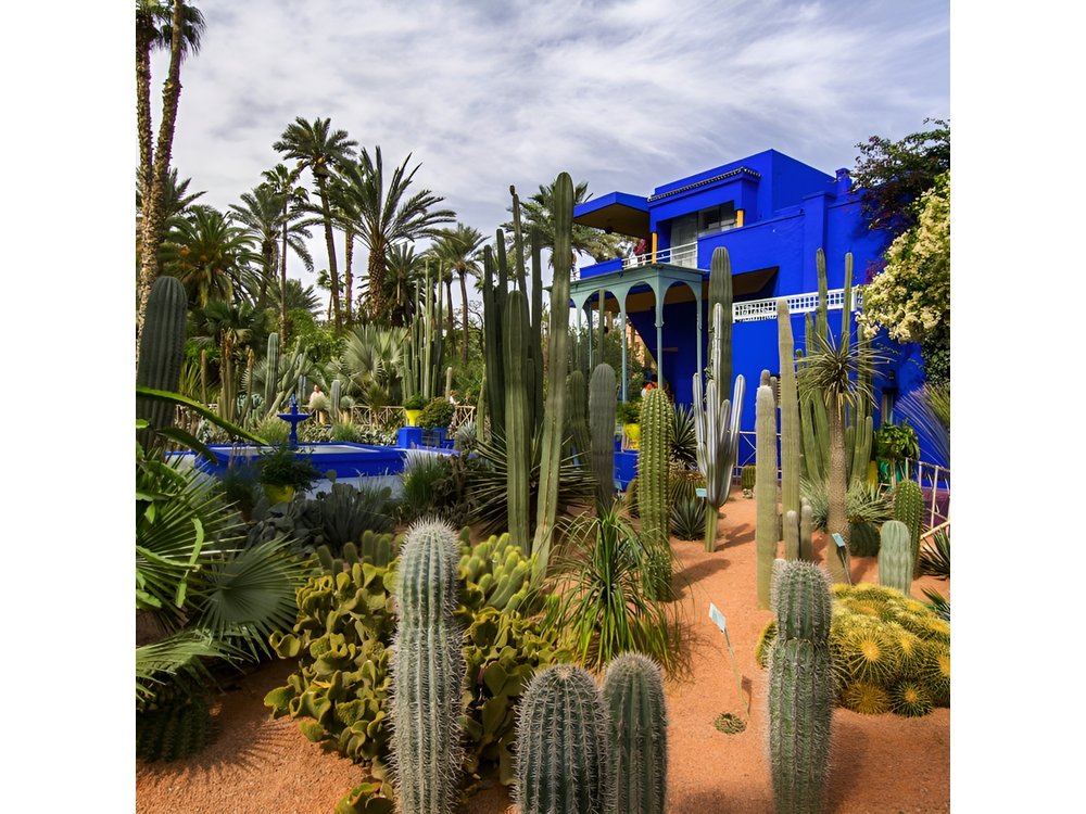Marrakech Private Transport City tour